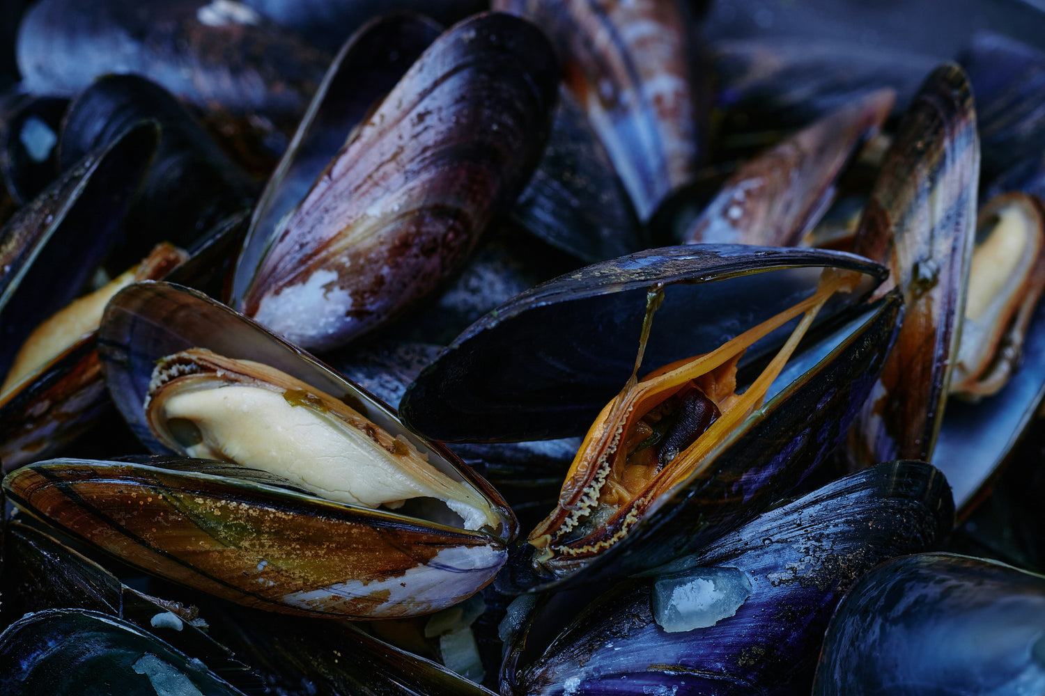 kerala style blue mussel (kallumakkaya) pickle